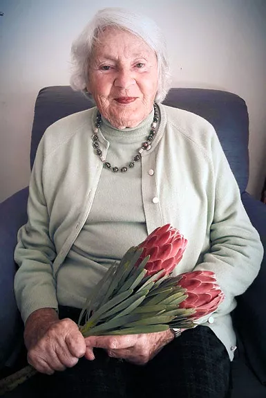 Wedding Protea Supplier in Cape Town